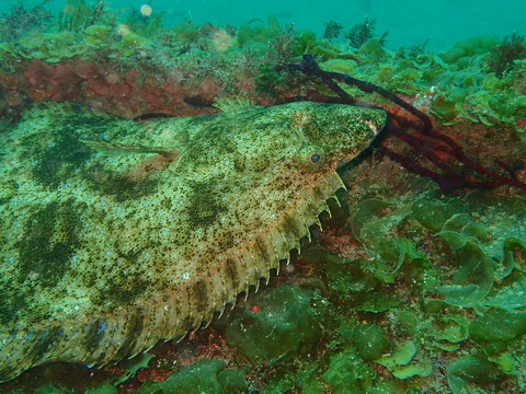 P3270052