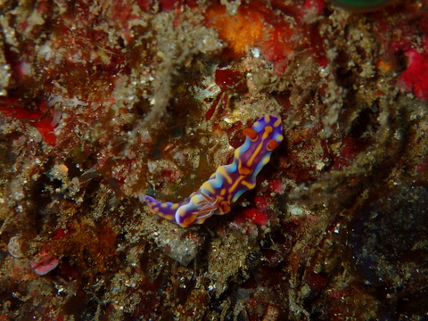 P2130102