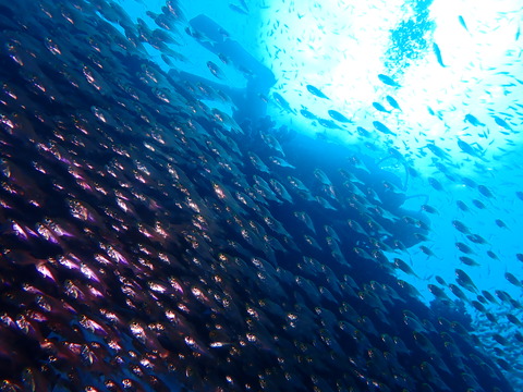 P1090115