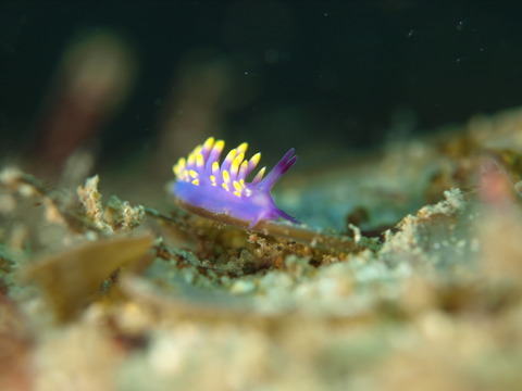P1264604