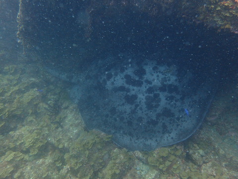 P6300359