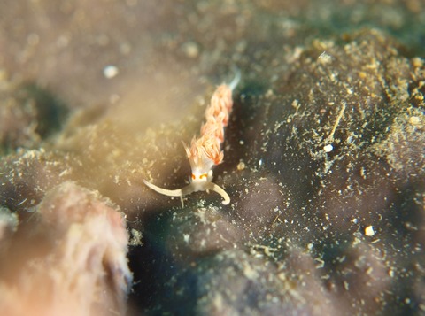 P1114578