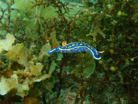 P5060010