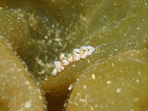 P4060041