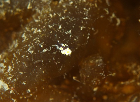 P3065108