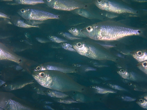 P9300270