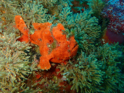 P6200318
