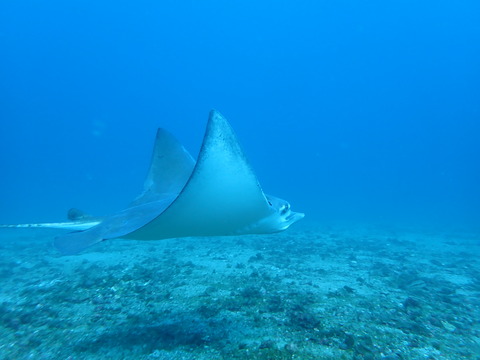 P2240466