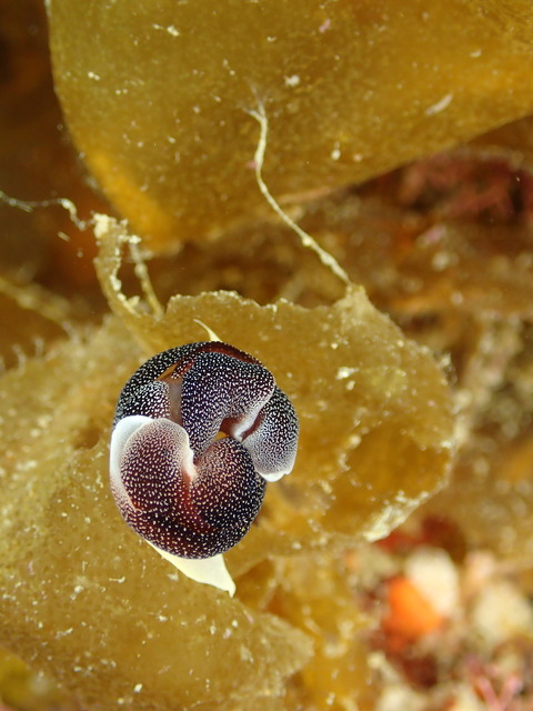 P4060040