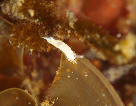 P3065023