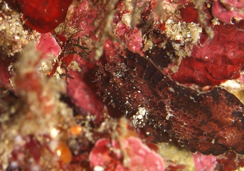 P1114485