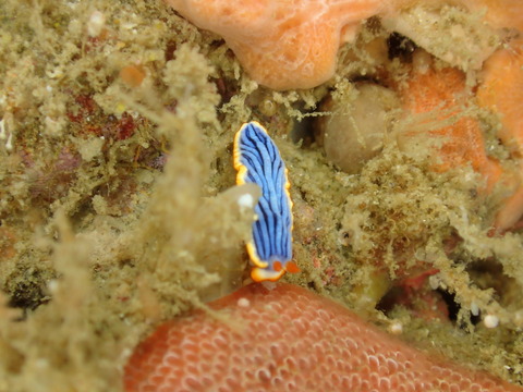 P4060022