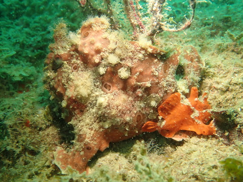 P8294505