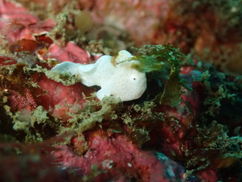 P2230081
