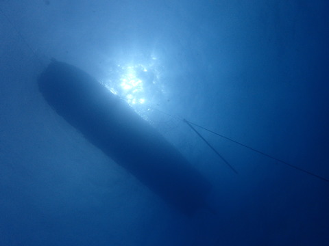 P7296119