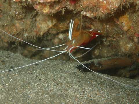 P6225950