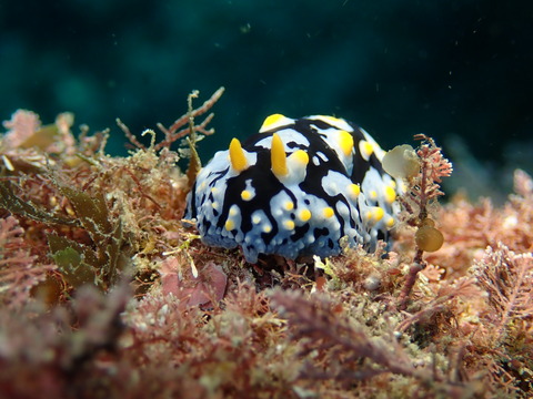 P1250819