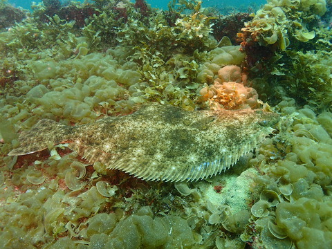 P4090015