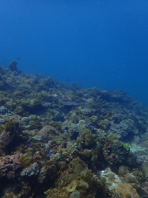 P3080062
