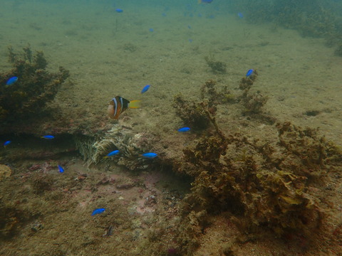 P9080023