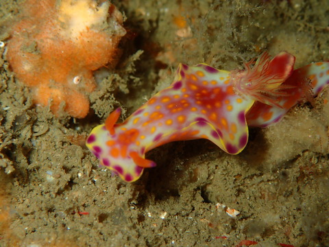 P6240027