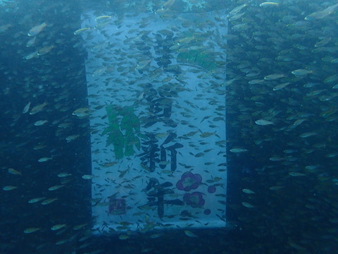P1037114