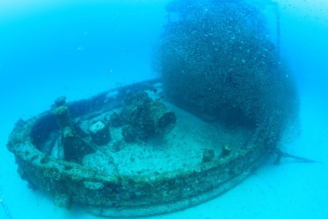 2L3A0286