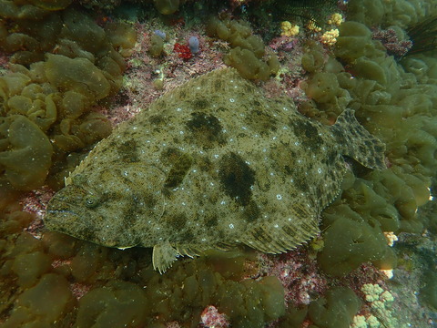 P4091766