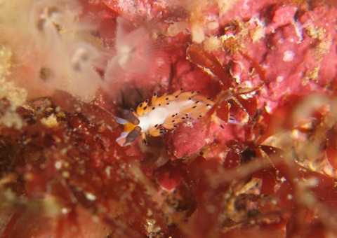 P1114493
