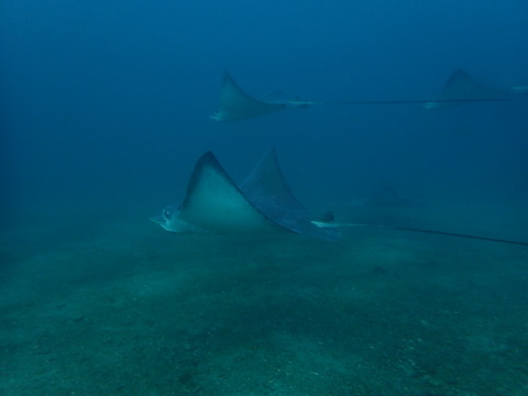 P1037218