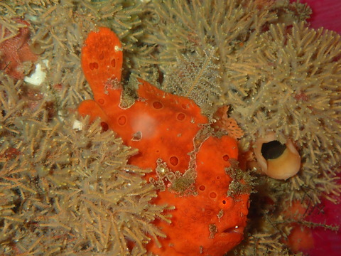 P6080253