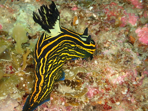 P4060062