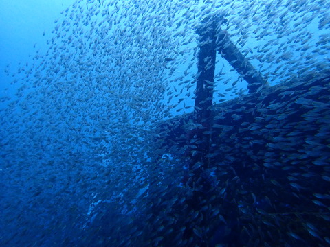 P1237665