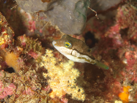 P6302812