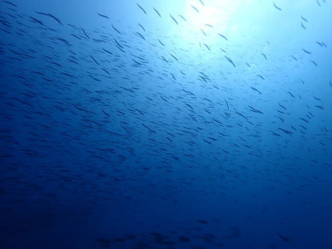 P1090065