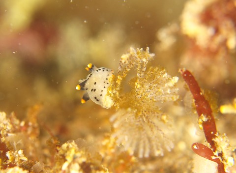 P3065045