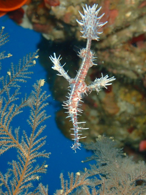 P1170567