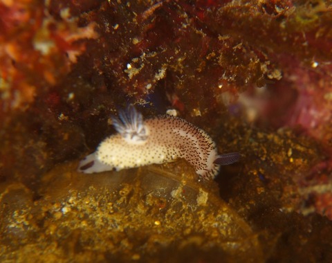 P3155178