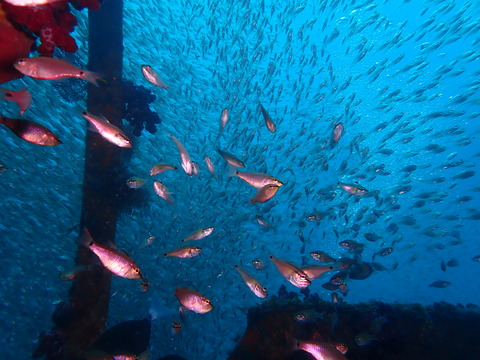 P6040773