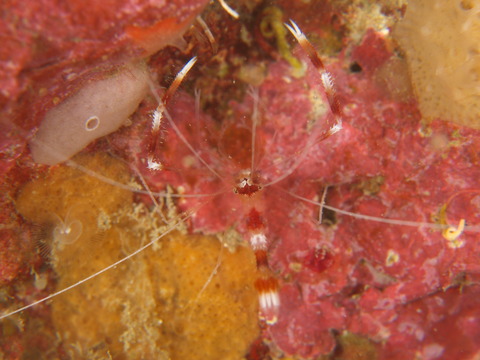 P2014772