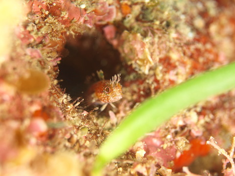 P6302832