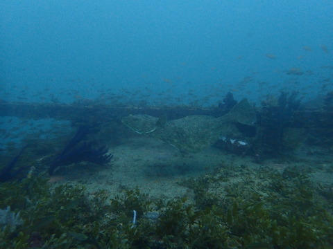 P5082824