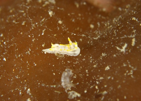 P3065127