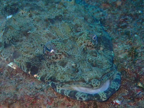 P2130139