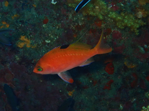 P2130152