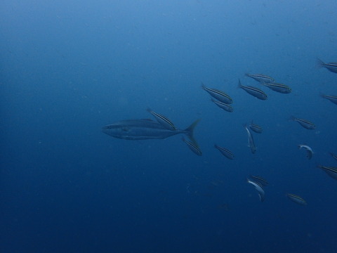 P5300083