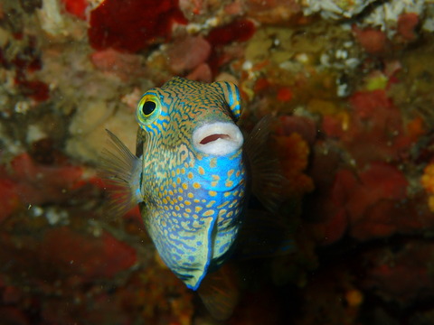 P6240076