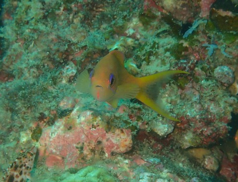 P9300238