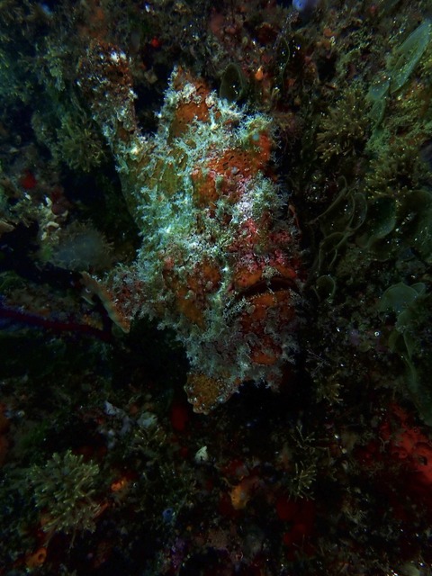 S__8470541