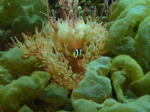 P3080046